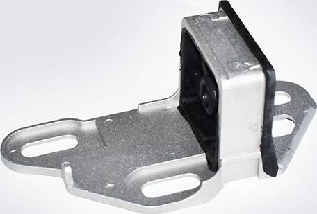ASAM 55561 - Holder, exhaust system www.parts5.com