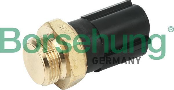 Borsehung B13129 - Temperature Switch, radiator / air conditioner fan www.parts5.com