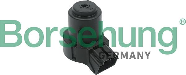 Borsehung B17994 - Ignition / Starter Switch www.parts5.com