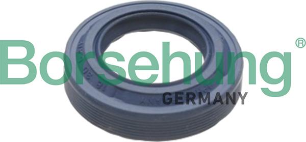 Borsehung B17828 - Shaft Seal, differential www.parts5.com