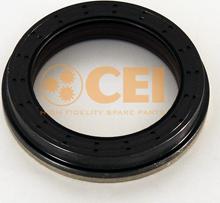 C.E.I. 139891 - Shaft Seal, differential www.parts5.com
