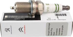CITROËN 5960 F0 - Engin spark plug ignit electr modul coil: 04 pcs. www.parts5.com
