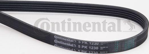 Continental CTAM 5PK1230 - V-Ribbed Belt www.parts5.com
