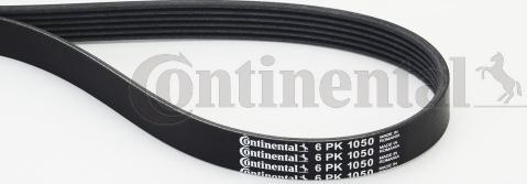 Continental CTAM 6PK1050 - V-Ribbed Belt www.parts5.com