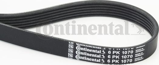 Continental CTAM 6PK1070 - V-Ribbed Belt www.parts5.com