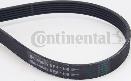 Continental CTAM 6PK1180 - V-Ribbed Belt www.parts5.com