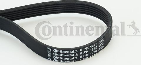Continental CTAM 6PK1270 - V-Ribbed Belt www.parts5.com