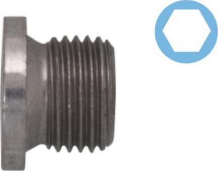 Corteco 220066H - Sealing Plug, oil sump www.parts5.com
