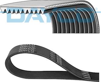 Dayco 10PK1630HD - V-Ribbed Belt www.parts5.com