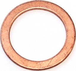 Elring 119.407 - Seal Ring www.parts5.com