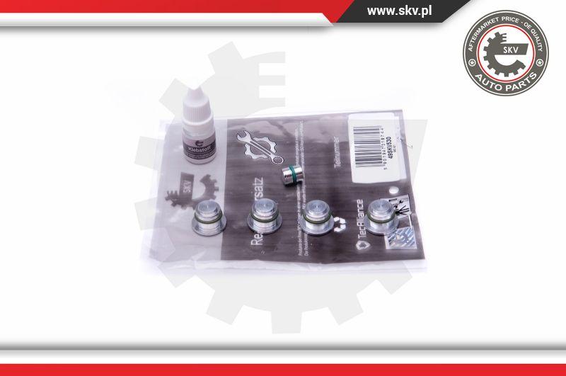 Esen SKV 49SKV530 - Repair Kit, intake manifold module www.parts5.com
