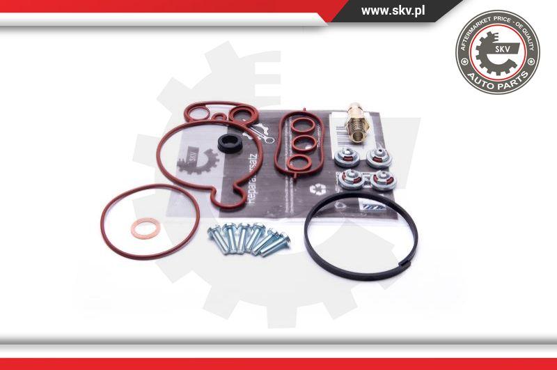 Esen SKV 18SKV805 - Repair Set, vacuum pump (braking system) www.parts5.com