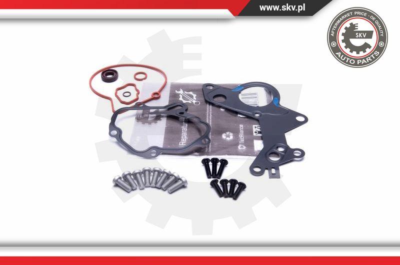 Esen SKV 18SKV801 - Repair Set, vacuum pump (braking system) www.parts5.com