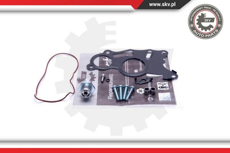 Esen SKV 18SKV803 - Repair Set, vacuum pump (braking system) www.parts5.com