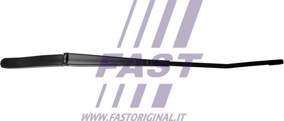 Fast FT93316 - Wiper Arm, window cleaning www.parts5.com