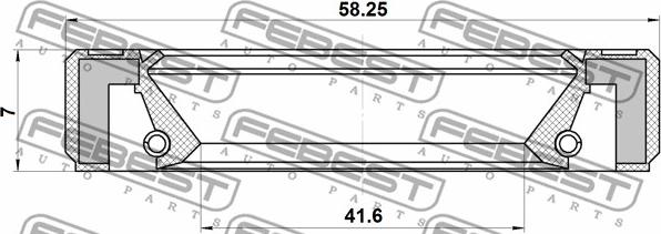 Febest 95GBY-43580707R - OIL SEAL AXLE CASE 41.6X58.25X7 www.parts5.com