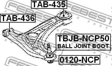 Febest 0120-NCP - BALL JOINT FRONT LOWER ARM www.parts5.com