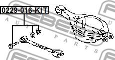 Febest 0229-016-KIT - Camber Correction Screw www.parts5.com
