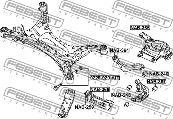 Febest 0229-020-KIT - Camber Correction Screw www.parts5.com