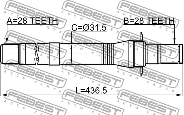 Febest 1212-CM10MT4WD - RIGHT SHAFT 28X436.8X28 www.parts5.com
