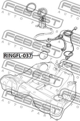 Febest RINGFL-037 - Seal, fuel sender unit www.parts5.com