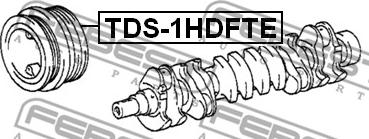 Febest TDS-1HDFTE - CRANKSHAFT PULLEY ENGINE 1HDFTE www.parts5.com