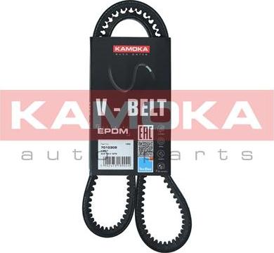 Kamoka 7010309 - V-Belt www.parts5.com