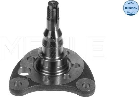 Meyle 100 501 0011 - Steering Knuckle, wheel suspension www.parts5.com