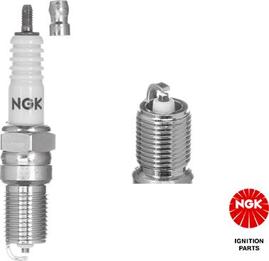 NGK 3812 - Spark Plug www.parts5.com