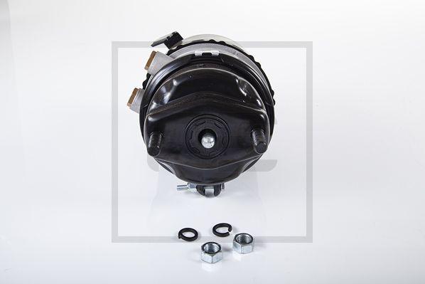 PE Automotive 076.817-30A - Spring-loaded Cylinder www.parts5.com