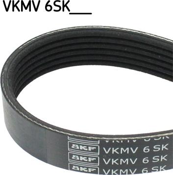 SKF VKMV 6SK1019 - V-Ribbed Belt www.parts5.com