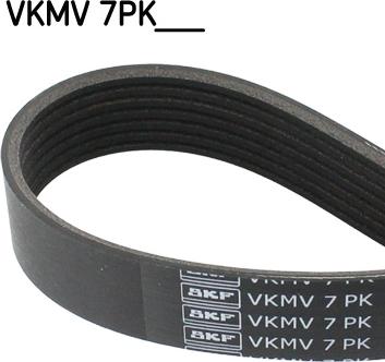 SKF VKMV 7PK1975 - V-Ribbed Belt www.parts5.com