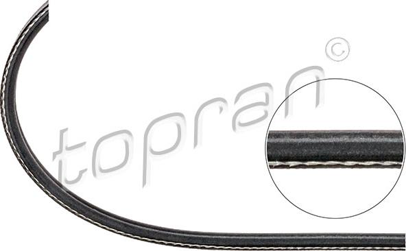 Topran 108 567 - V-Ribbed Belt www.parts5.com