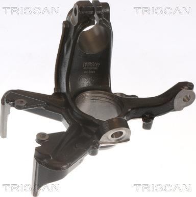 Triscan 8500 29702 - Muñón del eje, suspensión de rueda www.parts5.com