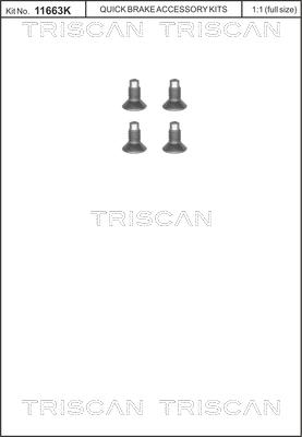 Triscan 8105 116004 - Комплект болтов, тормозной диск www.parts5.com