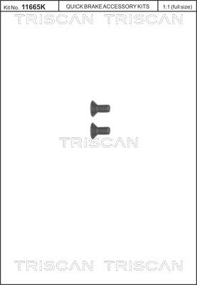 Triscan 8105 116006 - Комплект болтов, тормозной диск www.parts5.com