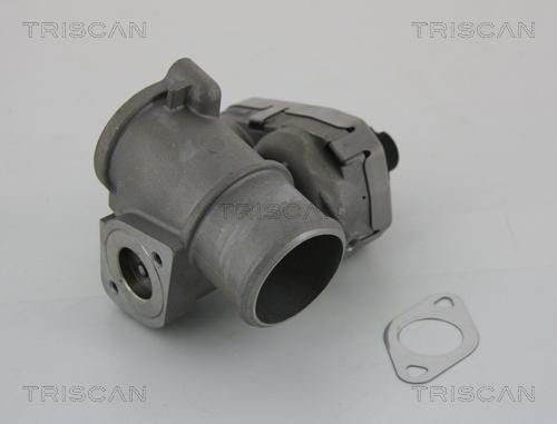 Triscan 8813 16101 - EGR Valve www.parts5.com