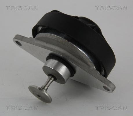 Triscan 8813 24202 - EGR Valve www.parts5.com