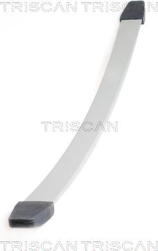 Triscan 8765 10003 - Spring Pack www.parts5.com