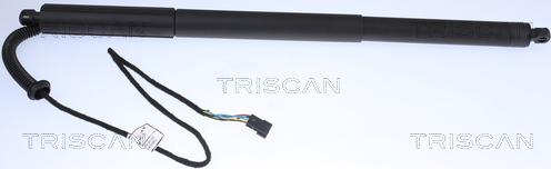 Triscan 8710 11305 - Gas Spring, boot, cargo area www.parts5.com
