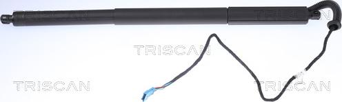 Triscan 8710 11306 - Muelle neumático, maletero / compartimento de carga www.parts5.com