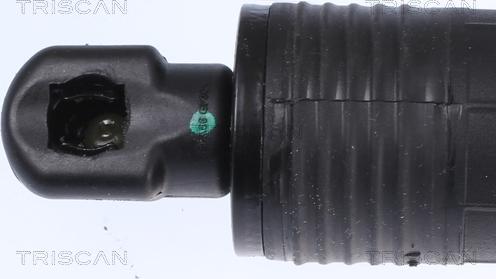 Triscan 8710 11306 - Gas Spring, boot, cargo area www.parts5.com