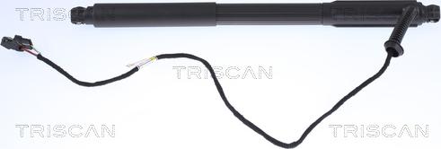 Triscan 8710 11303 - Gas Spring, boot, cargo area www.parts5.com
