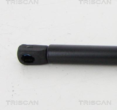Triscan 8710 292054 - Gas Spring, boot, cargo area www.parts5.com