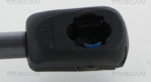 Triscan 8710 292054 - Gas Spring, boot, cargo area www.parts5.com