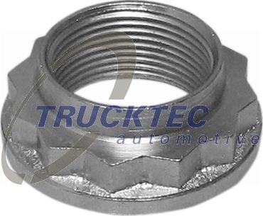 Trucktec Automotive 08.32.053 - Axle Nut, drive shaft www.parts5.com