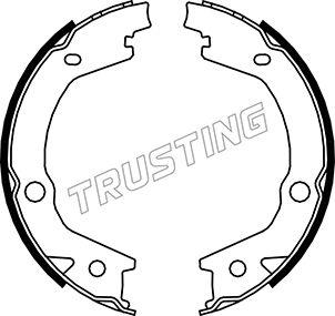 Trusting 046.220 - Brake Shoe Set, parking brake www.parts5.com