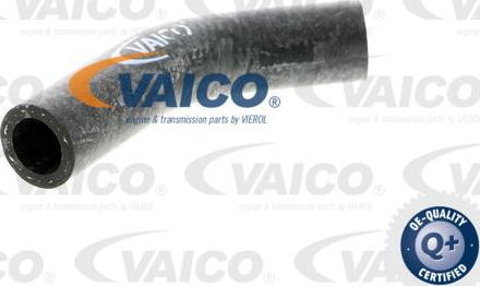 VAICO V40-0367 - Radiator Hose www.parts5.com