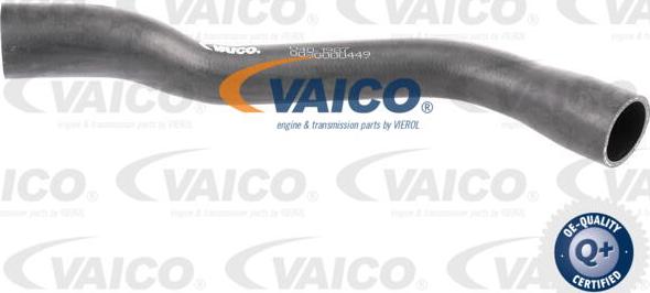 VAICO V40-1987 - Breather Hose, fuel tank www.parts5.com
