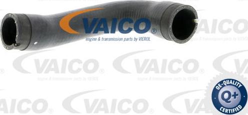 VAICO V40-1356 - Charger Intake Air Hose www.parts5.com